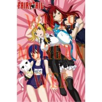 Fairy Tail 13